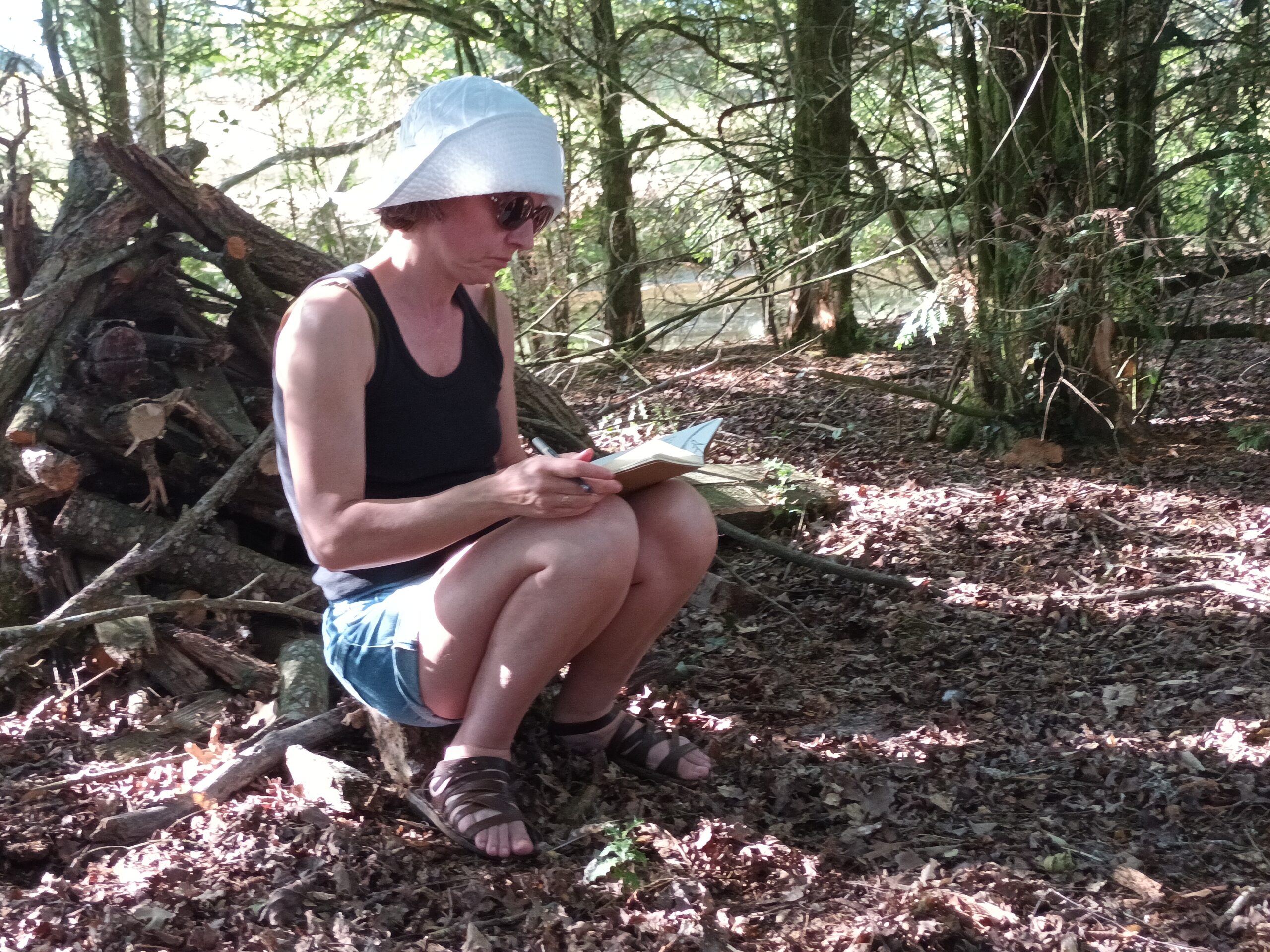 Atelier animé par Irène Gayraud à l'Outranspo - traduire les sons du vivant, juin 2024