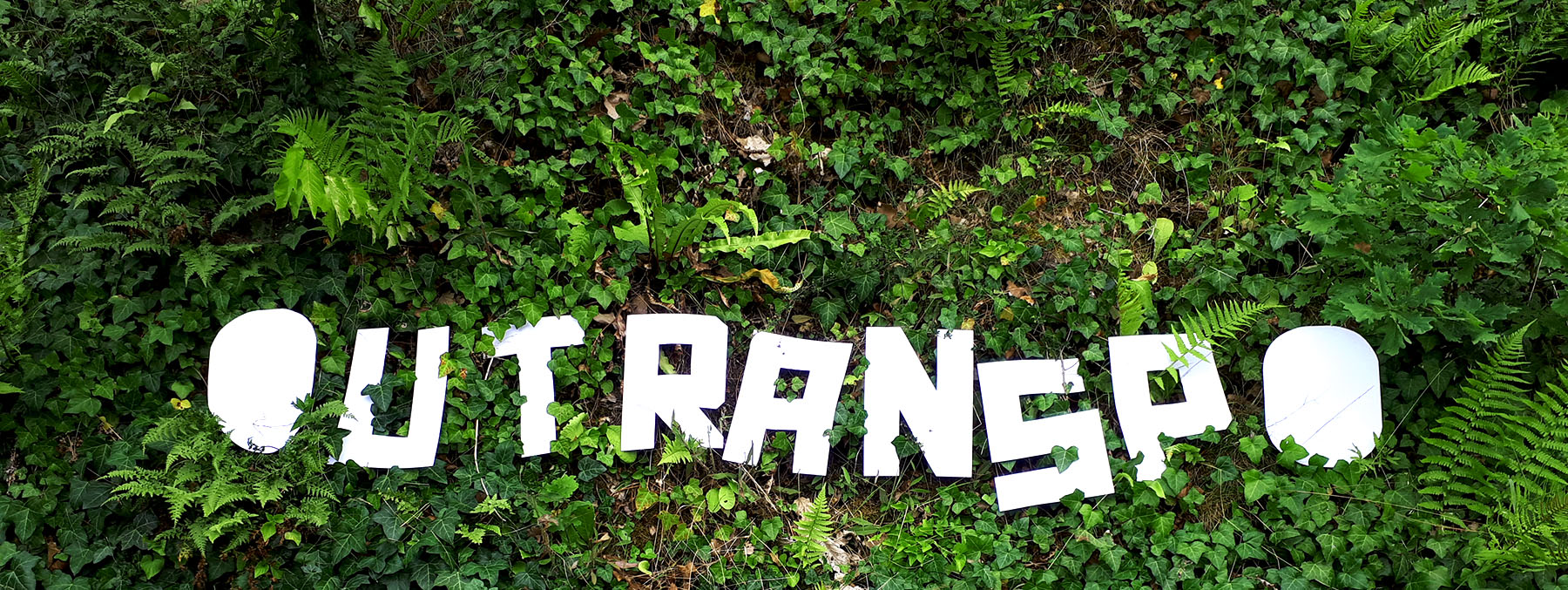 Outranspo en papier découpé dans la forêt